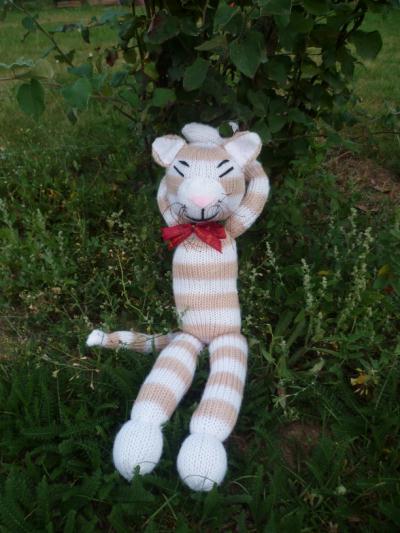 tricoter un tigre